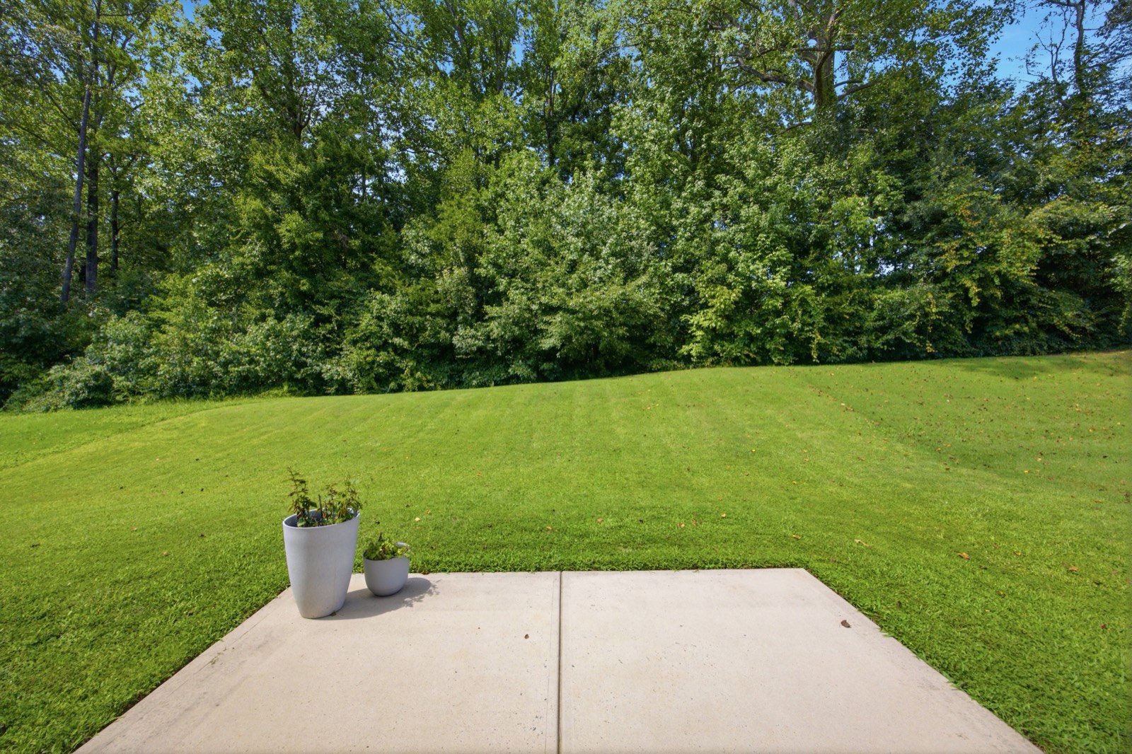Concrete patio opening onto a level lawn with a tree line behind it